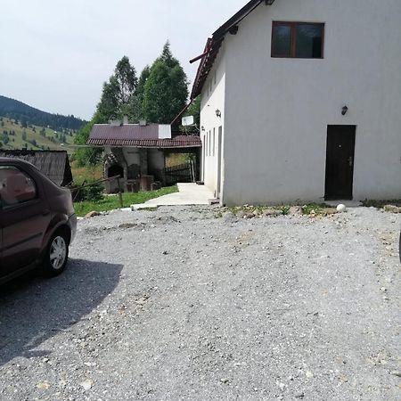 Vila Bucovina Hotel Ciocanesti Exterior photo