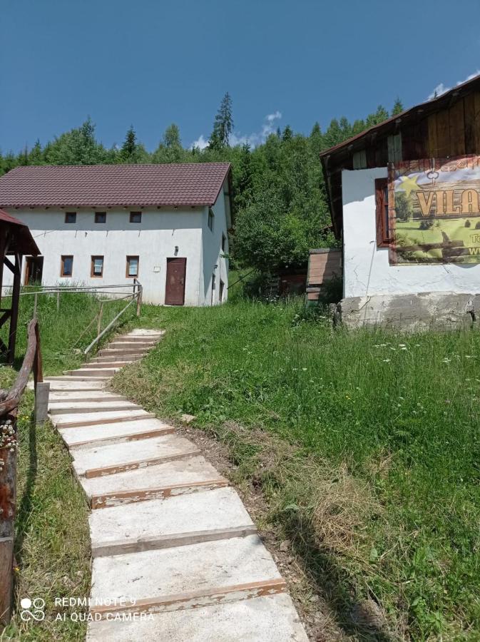 Vila Bucovina Hotel Ciocanesti Exterior photo