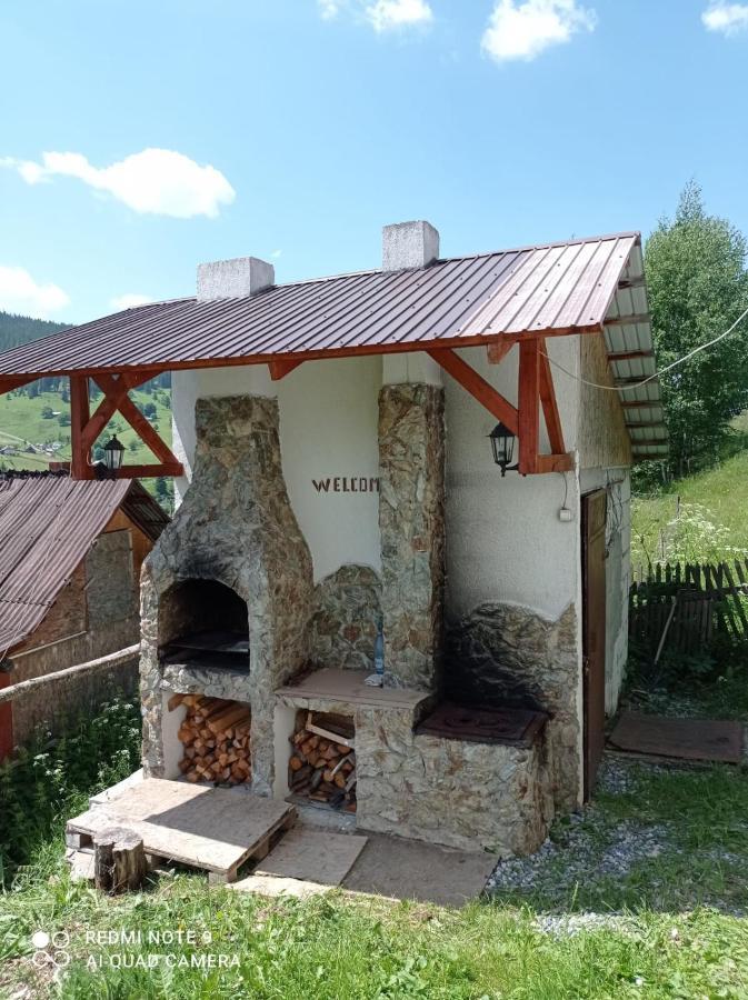 Vila Bucovina Hotel Ciocanesti Exterior photo