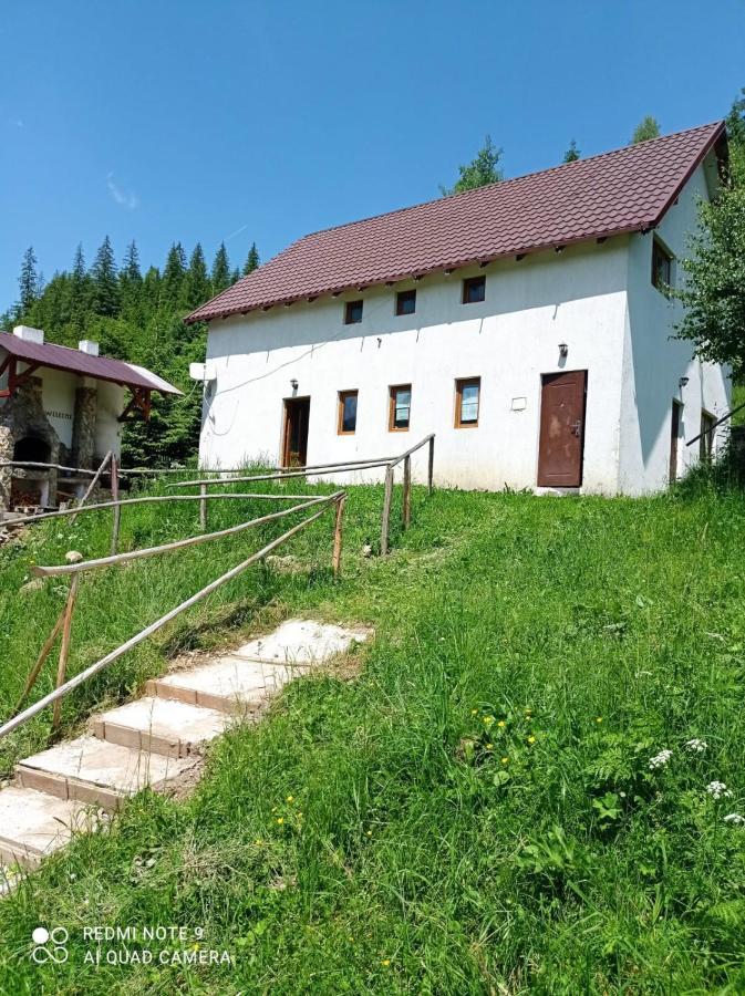 Vila Bucovina Hotel Ciocanesti Exterior photo