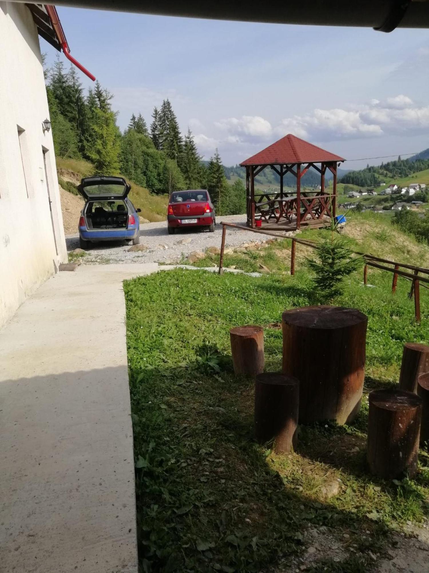 Vila Bucovina Hotel Ciocanesti Exterior photo