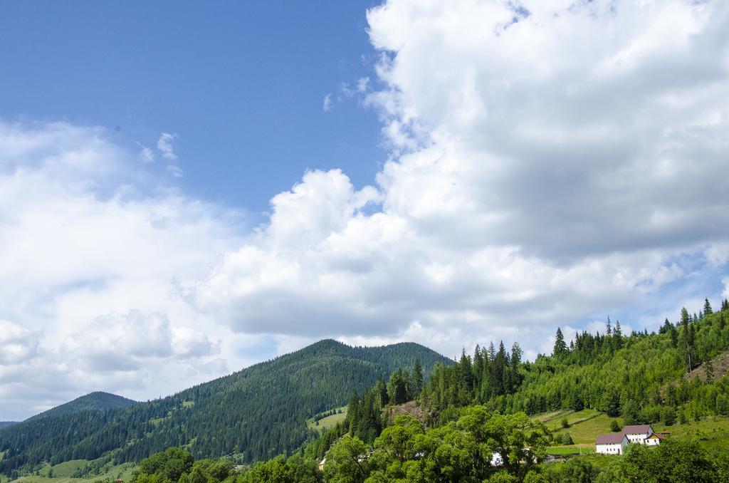 Vila Bucovina Hotel Ciocanesti Exterior photo